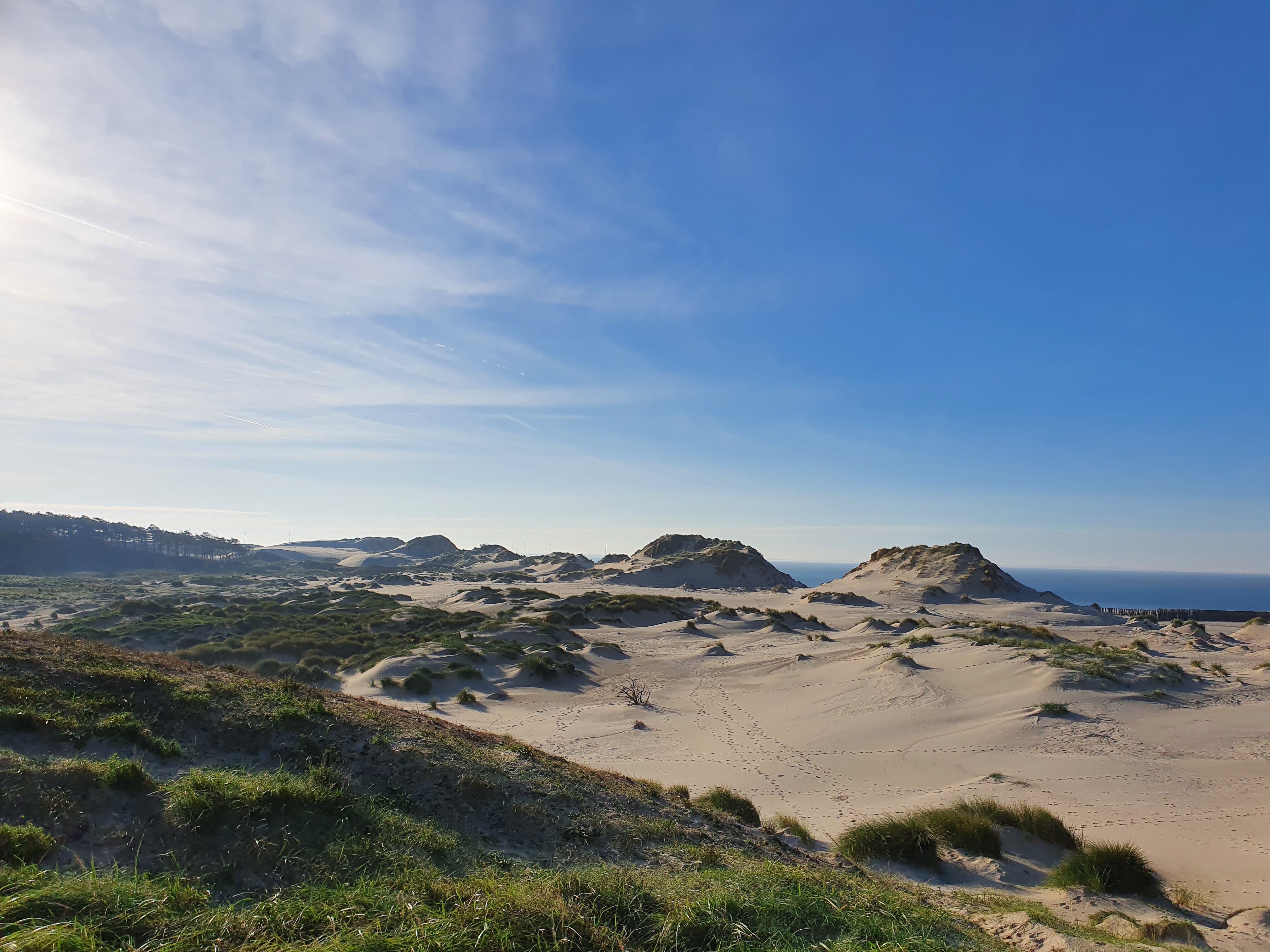 Camping Op Schouwen-Duiveland - Ginsterveld